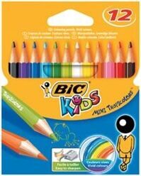Набор цветных карандашей 12 цветов Тропикулер BIC (Франция)
